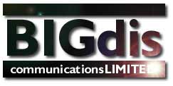 BigDis Logo